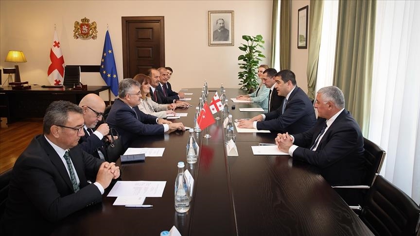 Делегация Межпарламентской группы дружбы Турция-Грузия ВНСТ проводит встречи в Тбилиси