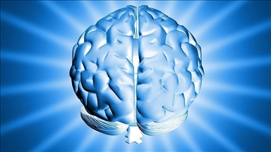 Brains do not mature until age of 32, Cambridge study finds