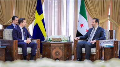 Глава МИД Сирии аш-Шейбани принял шведскую делегацию в Дамаске