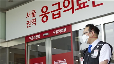 Güney Kore yılın 6. Afrika domuz vebası vakasının ardından kırmızı alarm ilan etti