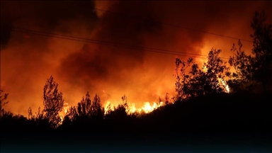 سوريا.. الدفاع المدني يواصل مكافحة حرائق غابات باللاذقية