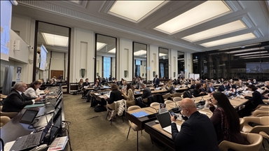 Türkiye'nin kamu-özel sektör işbirliği ile ilgili tecrübeleri BM'de paylaşıldı