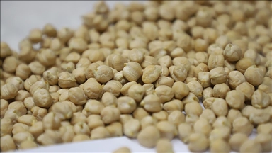 Nohut ithalatında gözetim uygulamasına ilişkin tebliğ yürürlükten kaldırıldı