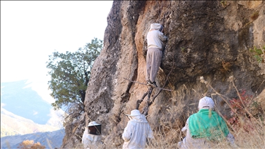 Li devera çiyayî ya bi kîlometreyan rê meşiyan û xwe gihandin wir di qefa keviran da hingiv kom kirin