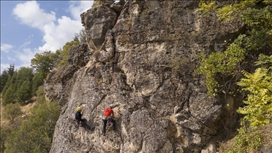 2 climbers die after fall on New Zealand's highest peak, 2 others rescued