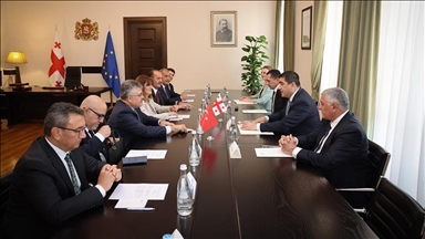 Делегация Межпарламентской группы дружбы Турция-Грузия ВНСТ проводит встречи в Тбилиси