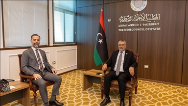 تكالة يبحث مع السفير التركي جهود توحيد المؤسسات الليبية