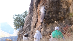Li devera çiyayî ya bi kîlometreyan rê meşiyan û xwe gihandin wir di qefa keviran da hingiv kom kirin