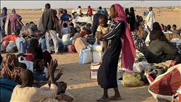 الهجرة الدولية: نزوح 1455 سودانيا بولاية جنوب كردفان خلال 3 أيام 