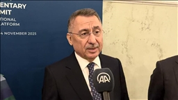 Фуат Октай: «Защита прав крымских татар  — главный приоритет Турции»