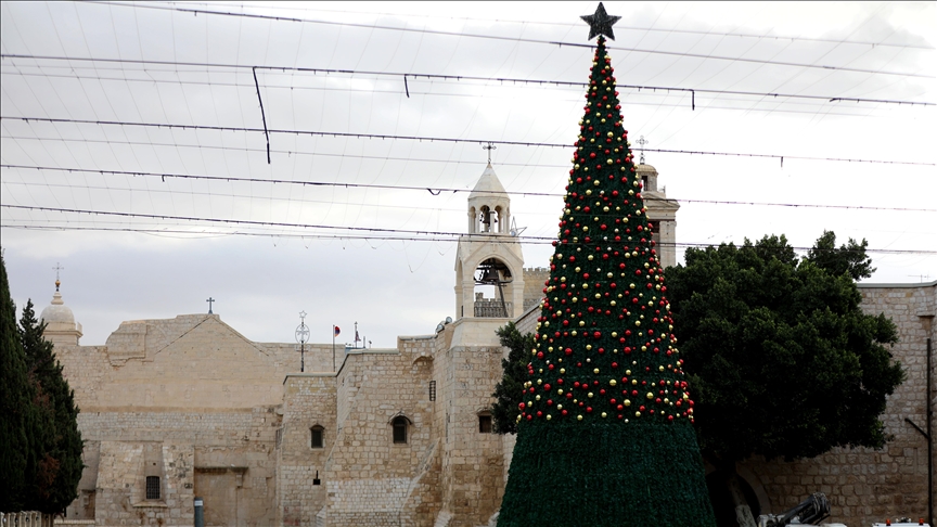 بشجرة "الصمود".. بيت لحم تتزين لعيد الميلاد (تقرير)