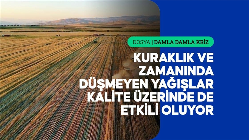 Azalan su kaynakları tarımda hem verimi hem de kaliteyi etkiliyor