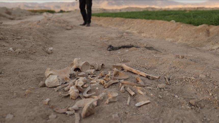 Autoritetet siriane zbulojnë 4 varre masive në veri të Homsit