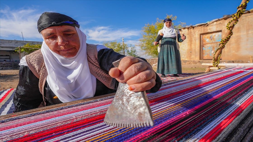 Bi tevna ku li baxçeyê xwe daniye va merş û xalîçeyan radiçîne