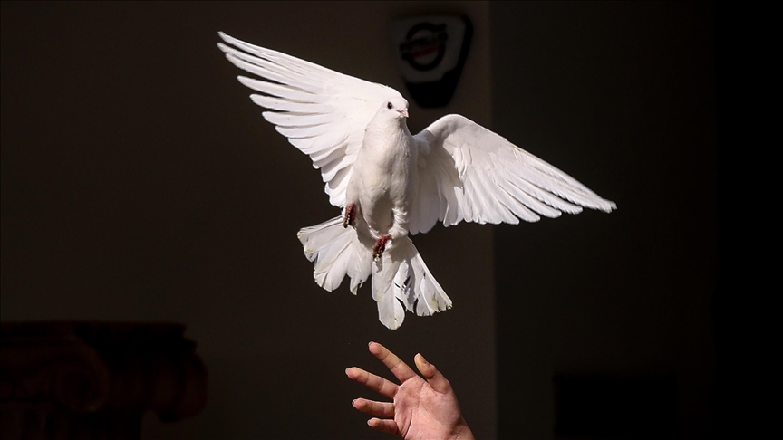 Olympie : la flamme des JO d’hiver 2026 allumée lors d’une cérémonie traditionnelle