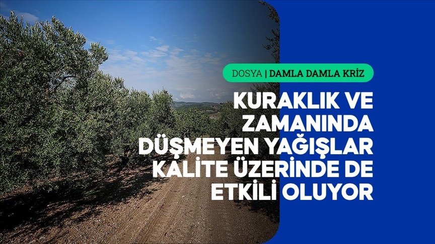 Azalan su kaynakları tarımda hem verimi hem de kaliteyi etkiliyor