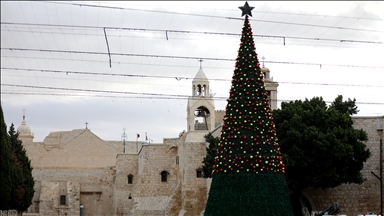 بشجرة "الصمود".. بيت لحم تتزين لعيد الميلاد 