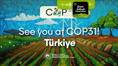 Küresel iklim müzakerelerine Türkiye ne katacak?