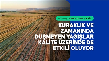Azalan su kaynakları tarımda hem verimi hem de kaliteyi etkiliyor