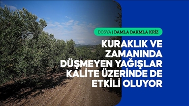 Azalan su kaynakları tarımda hem verimi hem de kaliteyi etkiliyor