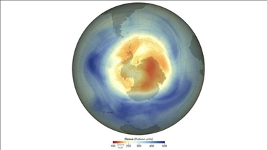 В НАСА заявили о сокращении озоновой дыры над Антарктидой