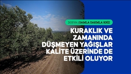 Azalan su kaynakları tarımda hem verimi hem de kaliteyi etkiliyor