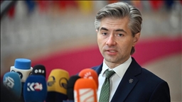 Lithuania urges tougher US stance on Russia amid peace talks