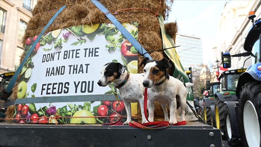 Британските земјоделци со трактори протестираа во Лондон против даночните промени