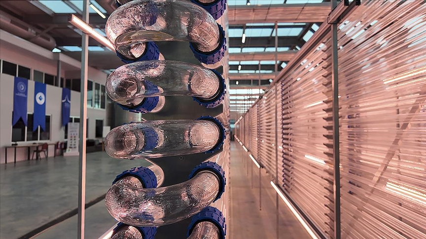 Boğaziçi Üniversitesi mikroalg temelli biyopestisit geliştirecek