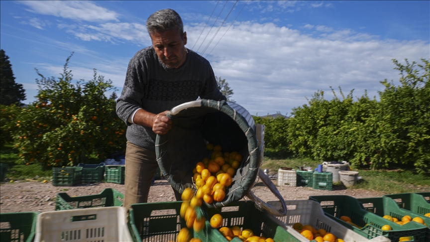 Türkiye's exports climb 2% to $23.9B in October