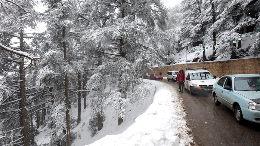 ثلوج بالجزائر وأمطار بتونس وطقس مستقر بالمشرق العربي