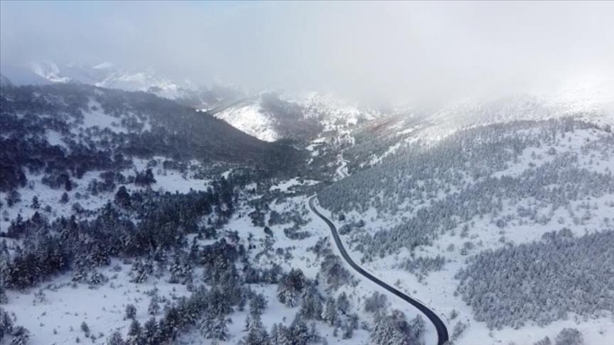 Снежни врнежи го покрија регионот Леон во Шпанија, арктички бран го зафати северот на земјата