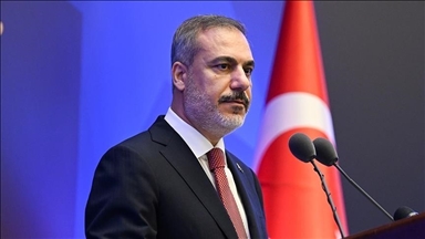 Глава МИД Турции совершит визит в Германию 28 ноября