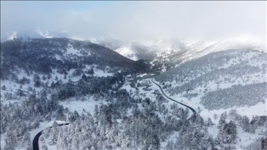 Reshjet e borës mbulojnë rajonin e qytetit Leon të Spanjës, vala e të ftohtit arktik përfshin veriun