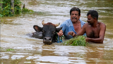 Sri Lanka'da şiddetli yağışların neden olduğu afetlerde 47 kişi öldü