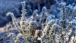 Doğu Anadolu'da soğuk hava etkisini sürdürüyor