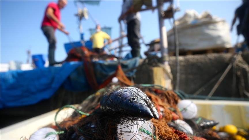 Mediterranean, Black Sea overfishing hits 10-year low: UN report