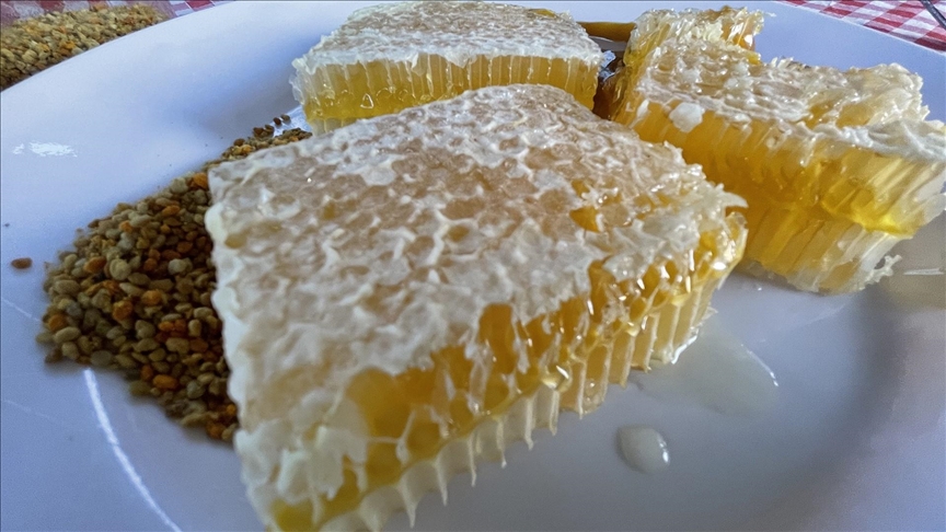 "Hingivê Tercanê" yê Erzincanê bi îşareta coxrafî hat tescîlkirin