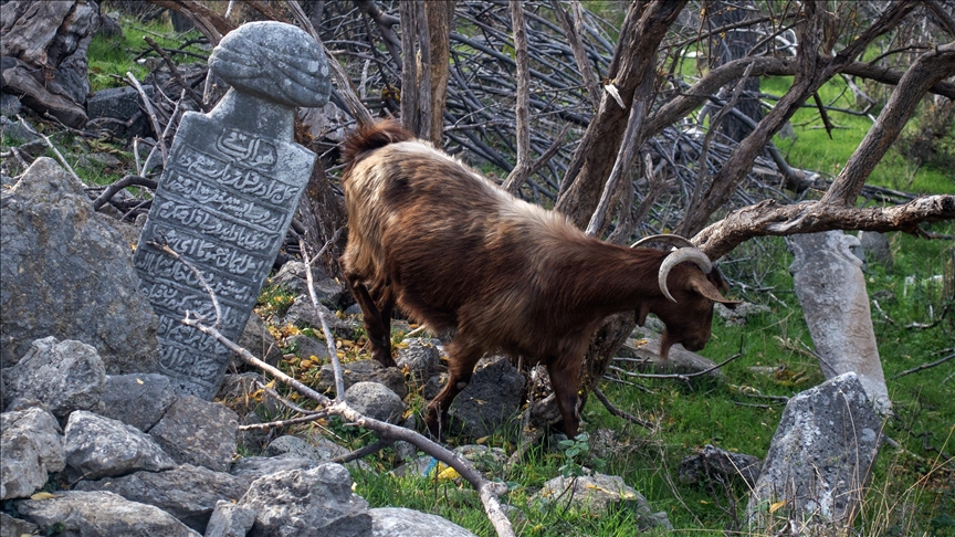 İskeçe Müftüsü Trampa, Osmanlı mezarlıklarını korumanın halkın doğal hakkı olduğunu söyledi