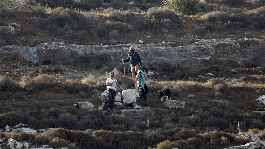 أبرز 4 حركات إسرائيلية مسؤولة عن جرائم الاستيطان بالضفة (إطار)