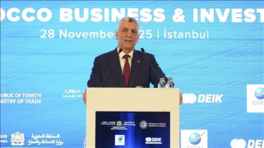 Ticaret Bakanı Ömer Bolat: Türkiye'nin Afrika ülkeleriyle toplam ticareti 22 yılda 37 milyar dolara yükseldi