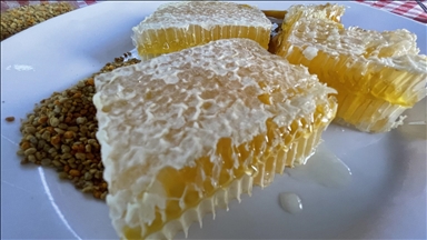 "Hingivê Tercanê" yê Erzincanê bi îşareta coxrafî hat tescîlkirin