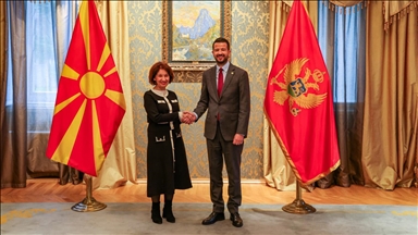 Milatoviq me Siljanovska-Davkovën: E ardhmja evropiane dhe stabiliteti rajonal, qëllim i përbashkët i dy shteteve