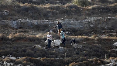 أبرز 4 حركات إسرائيلية مسؤولة عن جرائم الاستيطان بالضفة