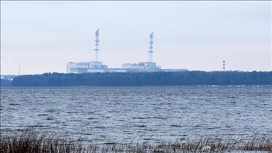 МИД Беларуси заявил об отсутствии официальной информации от Литвы об инциденте на Игналинской АЭС