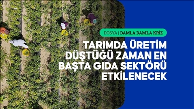 Kuraklığın etkileri tarladan fabrikaya, fabrikadan sofraya uzanıyor