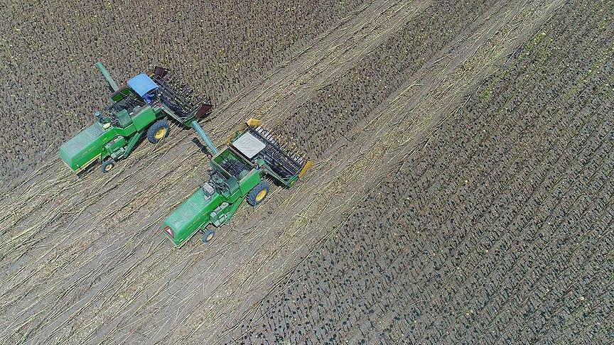 Japan sees largest decline in farmers in 5 years