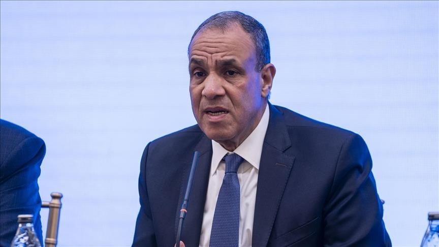 وزير خارجية مصر يتوجه إلى باكستان لبحث تعزيز العلاقات والتعاون