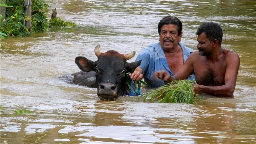 Турция выразила соболезнования народу Шри-Ланки в связи с жертвами циклона «Дитва»
