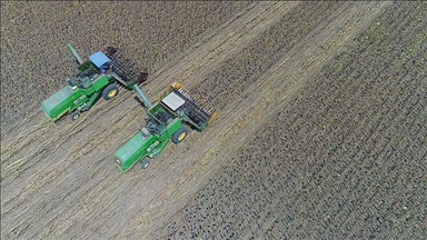 Japan sees largest decline in farmers in 5 years